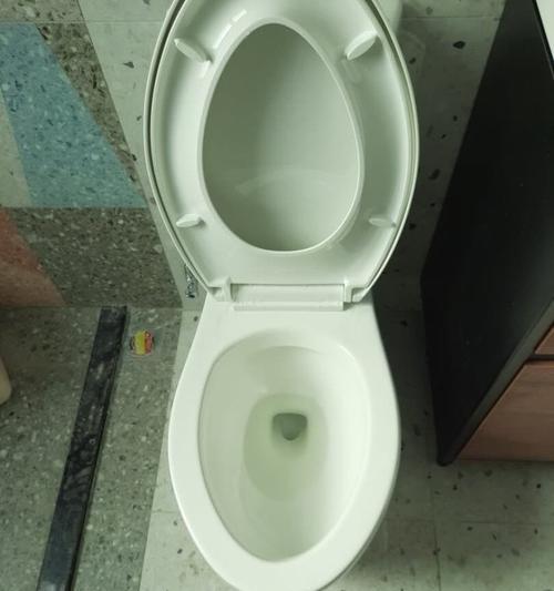 科勒抽水马桶堵塞原因及解决方法（科勒抽水马桶堵塞的常见原因及如何解决）