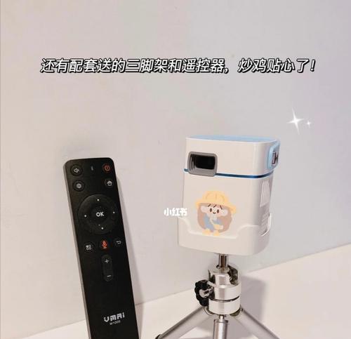 解决投影仪1305错误的方法（快速修复投影仪显示错误的技巧）