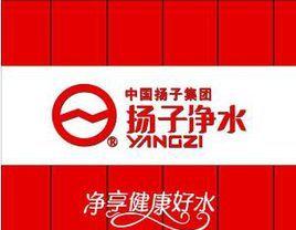 扬子净水器缺水维修价格解析（了解扬子净水器缺水维修价格的因素及维修方式）