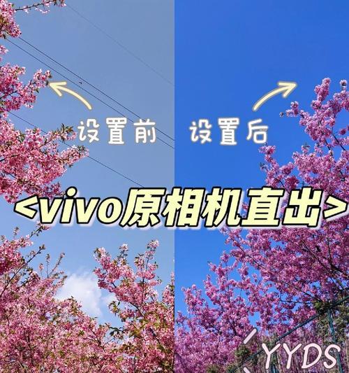 手机原相机使用方法是什么？如何拍出好照片？